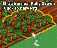 FarmVille harvest = ernten