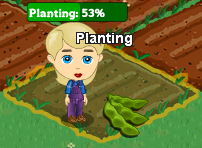 FarmVille plant/Seed = pflanzen/sähen