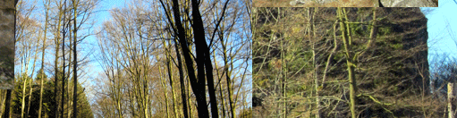 Die Bruchhauser Steine bei einer Wanderung