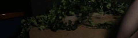 Auf dem Goth Model Treffen 2011