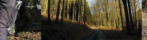 Wanderung bei den Bruchhauser Steinen