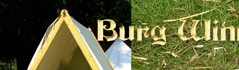 Burg Winnenthal 2010