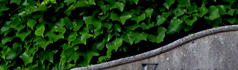 Friedhof Essen-Altendorf 2010