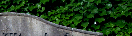 Friedhof Essen-Altendorf 2010