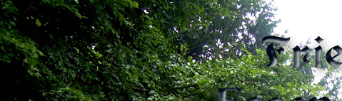 Friedhof Essen-Karnap 2010