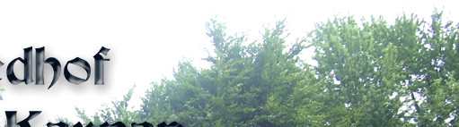 Friedhof Essen-Karnap 2010