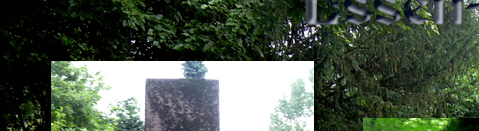 Friedhof Essen-Karnap 2010