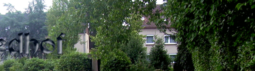 Friedhof Essen-Nordfriedhof 2010