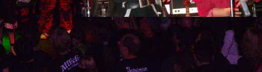 Konzert Schelmish im Turock in Essen 2010